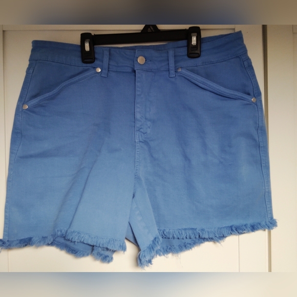 JUDY BLUE women's mid-rise fray hem shorts in sky blue SZ- 1X - Picture 3 of 6